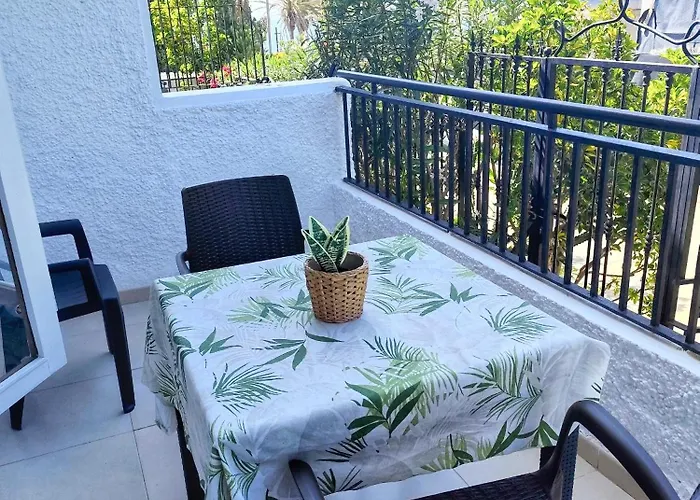 Veracruz , Playa Americas Costa Adeje (Tenerife)