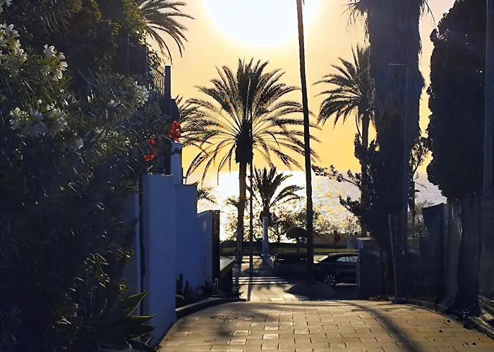 Veracruz , Playa Americas Costa Adeje (Tenerife)