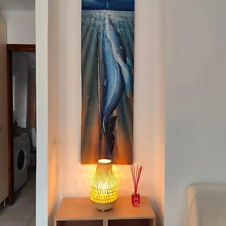 Veracruz , Playa Americas アデヘ